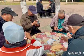 琴岛观澜丨小小纸牌何以非遗？揭秘“硬控”山东人的够级发展之路图片