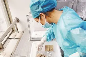 “小强”为啥打不死？近期蟑螂活动频繁，专家来支招→图片