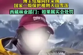 博主炫耀同伴采摘国家二级保护植物天山雪莲，其账号被封，西藏林业部门正在调查，情况属实会处罚图片