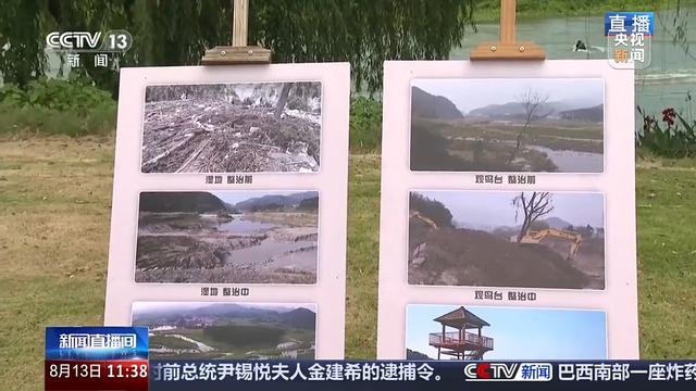 活力中国调研行丨“垃圾村”→网红打卡湿地 一个村落的“绿色升级”