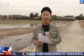 小麦也有“身份证” 丰收和播种在这里“同框”图片