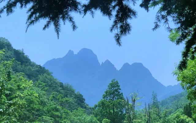 来艾山“森呼吸”！山林、溪潭、云海全都有