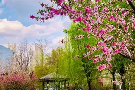 婚姻登记实现“全国通办”，在沈阳可以这样办→图片