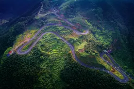 沿着纬度听中国丨徒步四明山：链接生命 对话自然图片