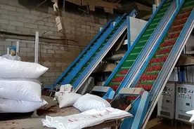 “不出国不知道咱们的机械化水平有多高” 胶州农机国门外大展身手图片