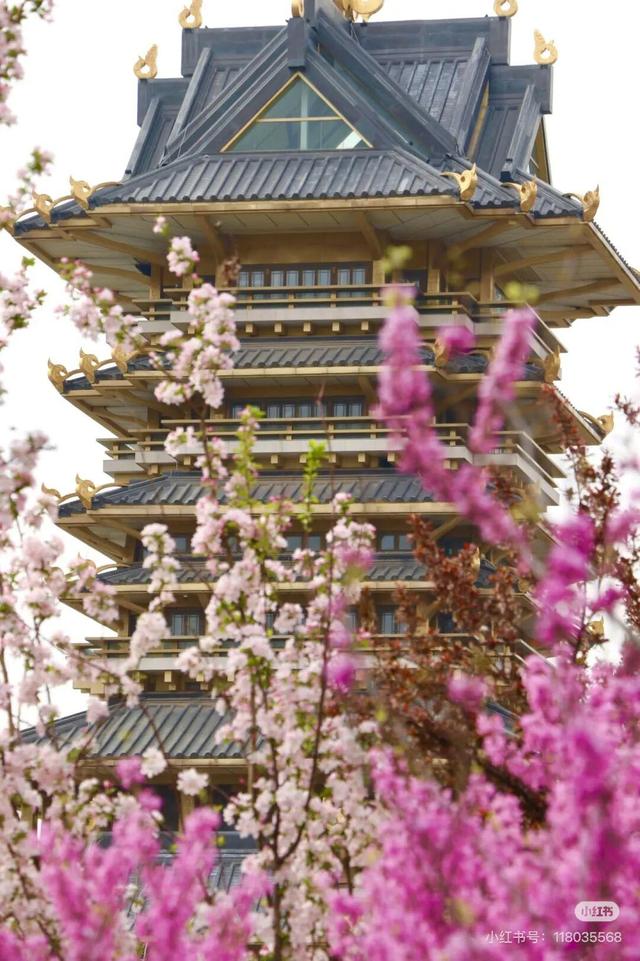 想把临沂的春天打包送给你，临沂最全赏花攻略来了