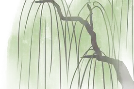 封面研学｜夏令营推荐，这个夏天还能这样玩！图片