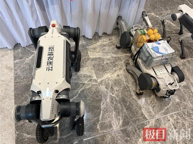 机器人可随行讲解，武汉面塑精巧可人，第二十五届华创会文旅专场推介会好有“料”！