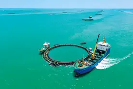 瞭望 | 湛江：打造海洋渔业样板图片