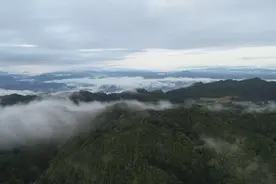 云南人把动物 “跳” 成非遗！原来老祖宗也“抄作业”！图片