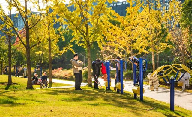 秋冬限定的普陀，美到让人流连忘返，你还不来打卡吗？