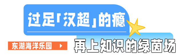 暑假余额告急！最后一波，玩透东湖！