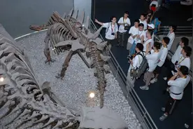 国家自然博物馆新馆建成后，将成国际交流平台图片