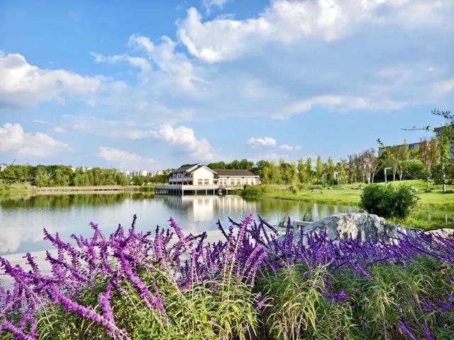 收藏这套双流秋天专属色卡，跟着拍，出片率100%