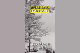 微视频｜立冬未至，雪花先飘！石家庄驼梁云顶下雪啦~图片