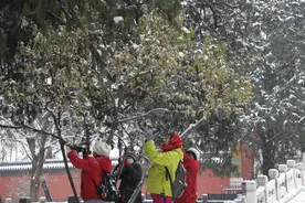 游客踏雪游园打雪仗，北京市属公园铺设防滑毯、提供免费热水图片