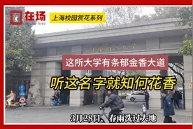 上海校园赏花系列图片