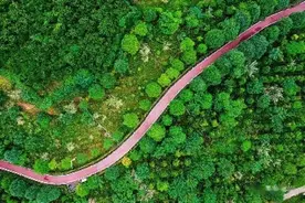 迎世运 过“五一”丨这个“五一”到成都乡村撒点“野”图片