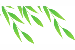 广西三月三假期，在西乡塘可以这样玩→图片