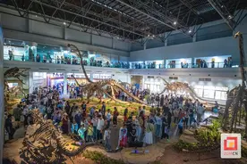 领略恐龙风采 自贡恐龙博物馆迎来参观热潮图片