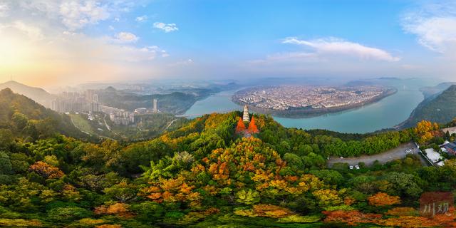 C视觉丨藏不住了 阆中冬日绝美日出，白塔、水杉、晨雾同框 画面太治愈