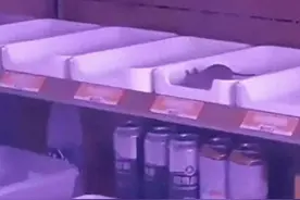 冷柜内老鼠上蹿下跳，夸父炸串回应了图片