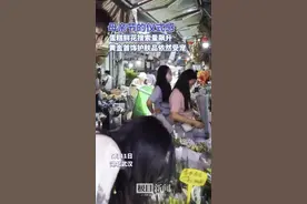 母亲节的仪式感：蛋糕鲜花搜索量飙升，酒店推出节日活动图片