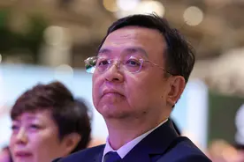 “不及预期”的比亚迪，隐形的“另一半”图片