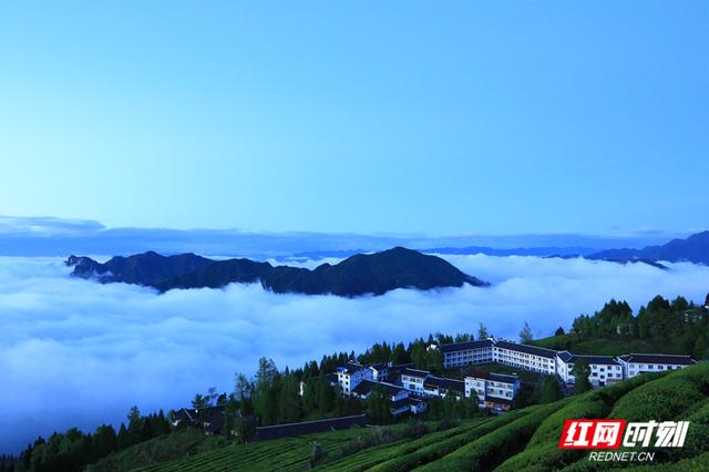 走进石门 清爽一夏②：在26°的清凉中找回夏日的惬意