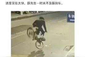 男子骑车被流浪猫撞伤 找谁索赔？图片