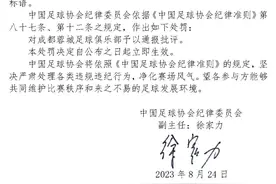 球迷张挂侮辱性标语，成都蓉城俱乐部和成都赛区被罚图片