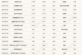 龙年首个交易日，9只基金涨超10%！几乎都重仓了这三只个股图片