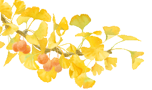 首周！东阳近20000人次参与这个活动