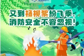 三个实验带你认识杨柳絮危险图片