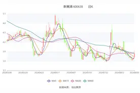 新黄浦：2024年上半年净利润2169.46万元 同比下降70.05%图片