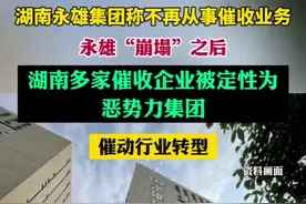 永雄“崩塌”之后：湖南多家催收企业被定性为恶势力集团，催动行业转型图片