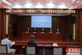 定陶区：以改革破难题，以创新促发展，为农业农村现代化注入新动能图片