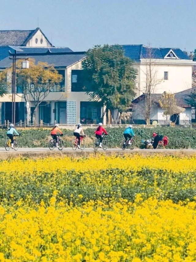 已开！成都怎么提前过上“春天”了