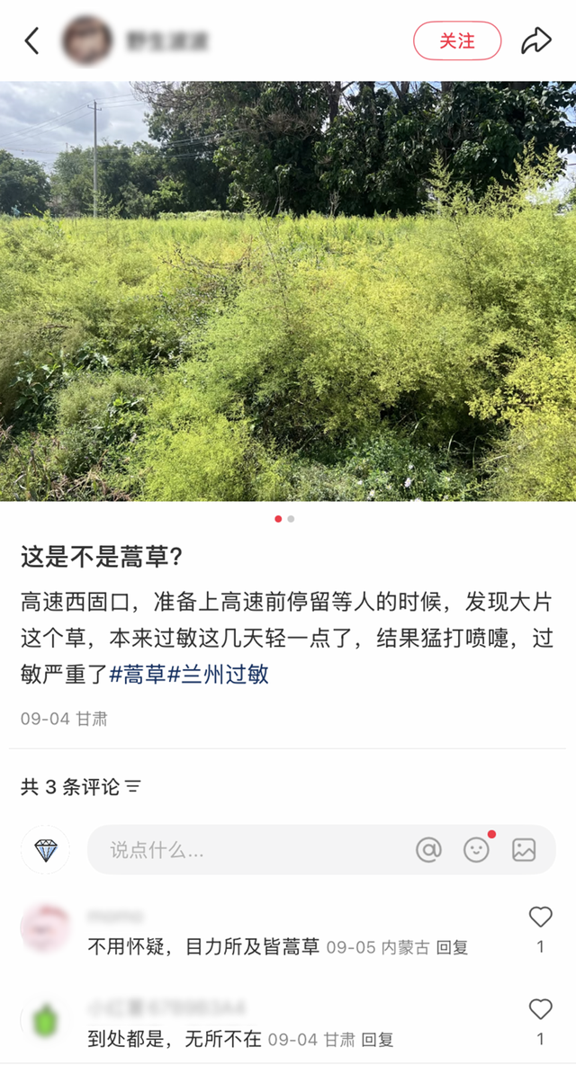 兰州的丹霞山绿了，多少人却高兴不起来