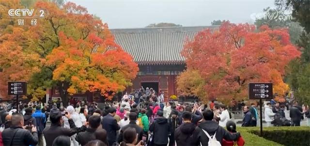 神州大地铺展层林尽染美丽画卷 “赏叶经济”激发多元消费业态新活力