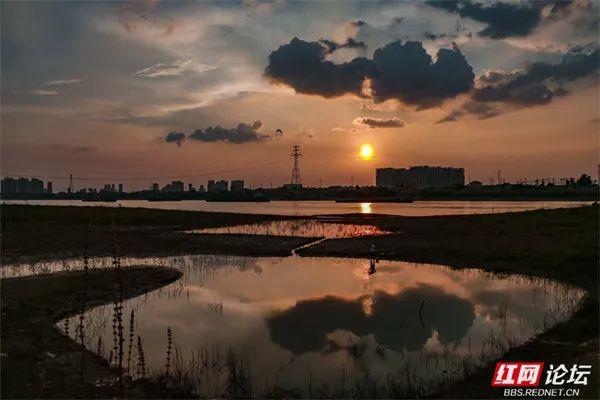 推窗何必远行？益阳十洲公园，坐收泼墨晚霞的天地馈赠