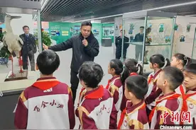 春季候鸟迁徙季 天津将有超50万只候鸟过境图片