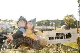 城市逃离计划！快来青浦这处露营地散散班味~图片