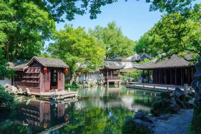 乐游吴江丨球场喧嚣外，寻一抹茶香！