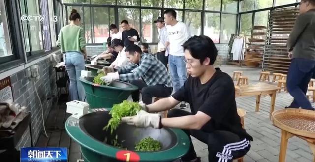 央视安利！“寻味地图”上新，来大理吃海菜花啦