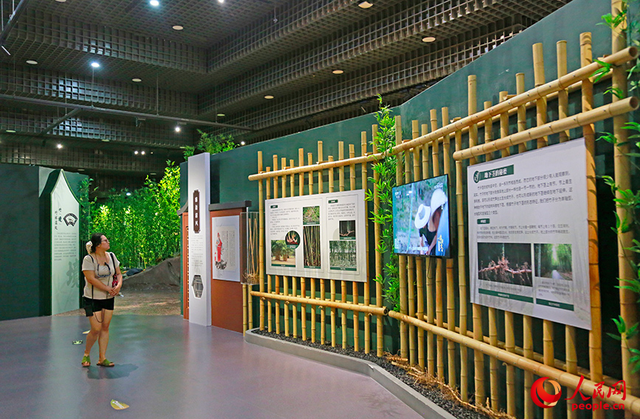 天津自然博物馆推出“清风竹韵 廉润初心”廉洁文化主题展