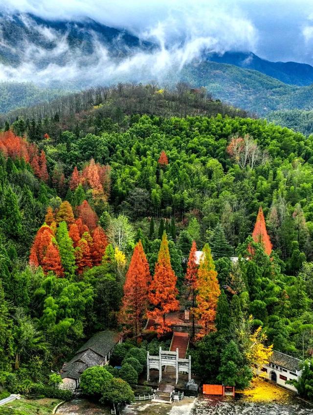 出片率100%！湖北的秋天太卷了