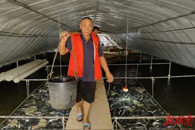 澧县梦溪镇：特种产业“鳗”养殖 乡村振兴“快”发展图片