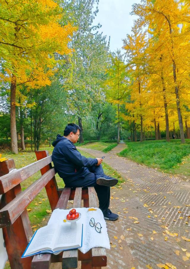 赏秋不用远足，济南森林公园诗意盎然