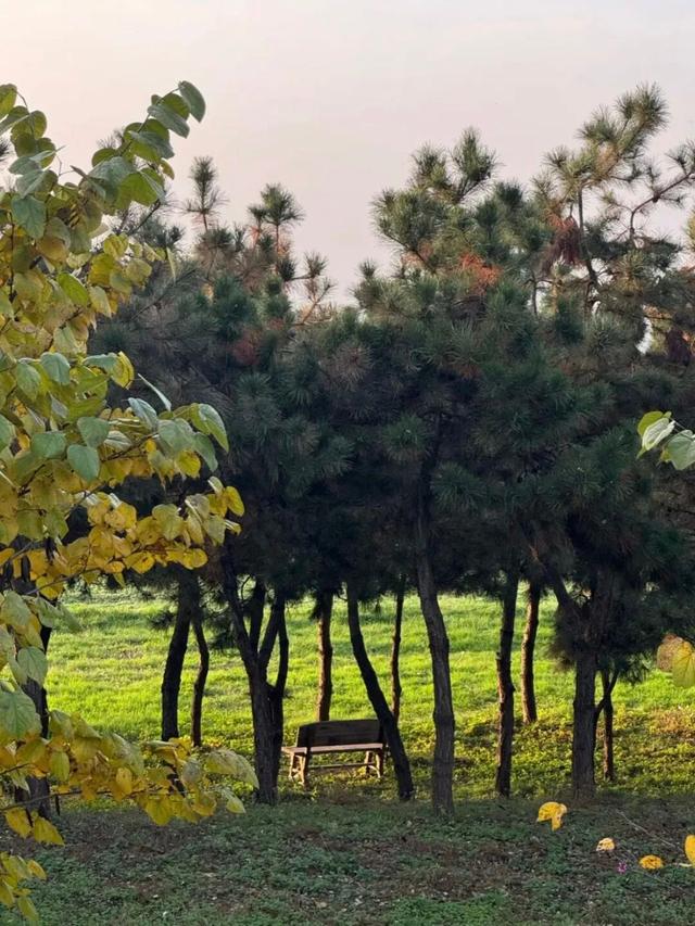 西安出发1h！这4个宝藏农场！